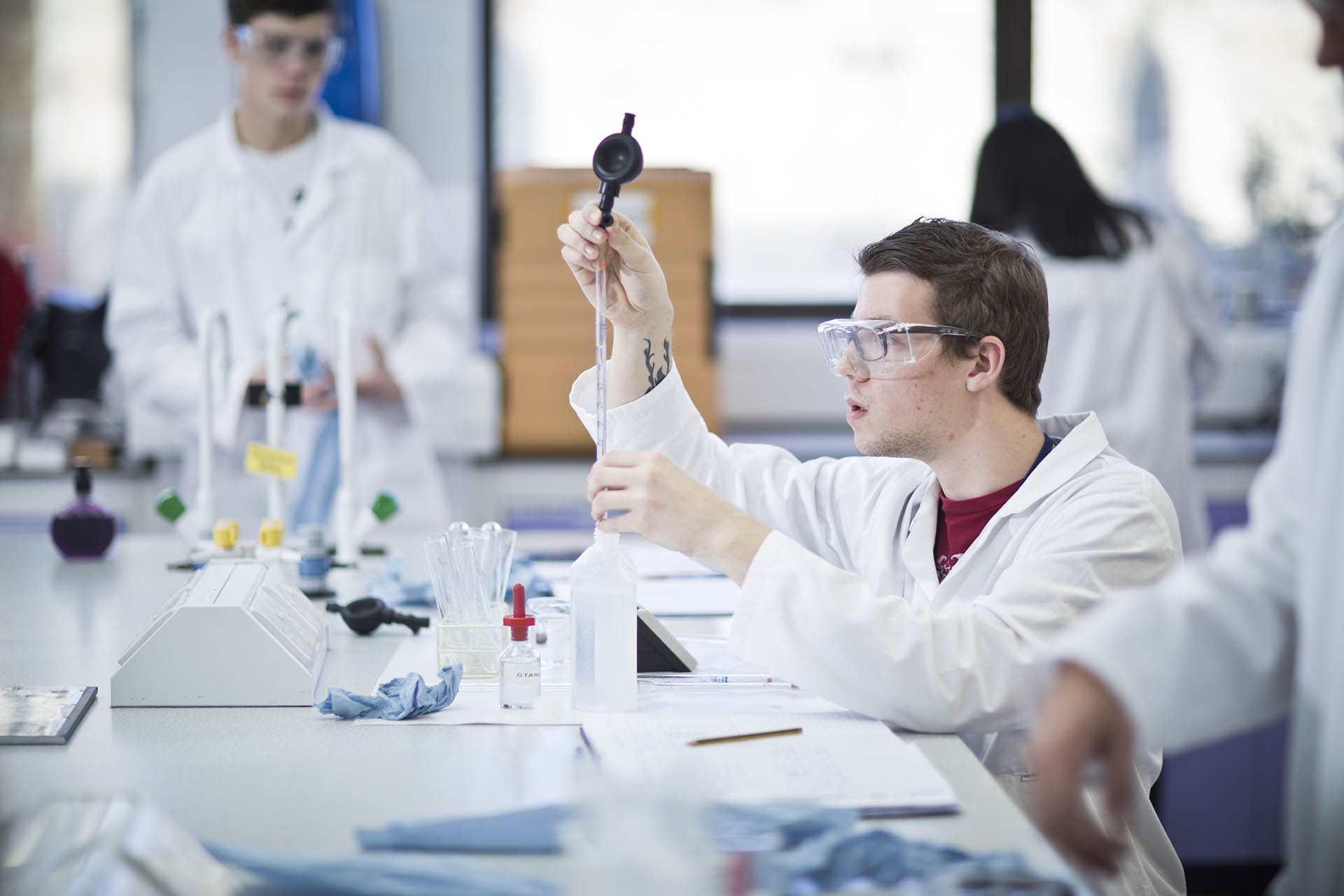 Students working in the lab