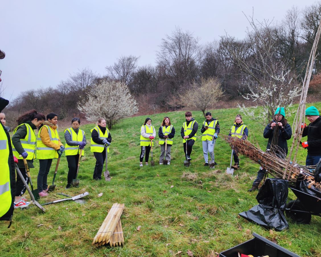 Tree planting-demonstration of big trees