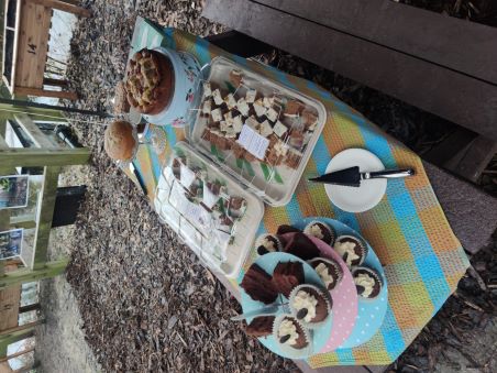 Allotment Launch-Cake 1