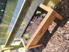 Planter with plants